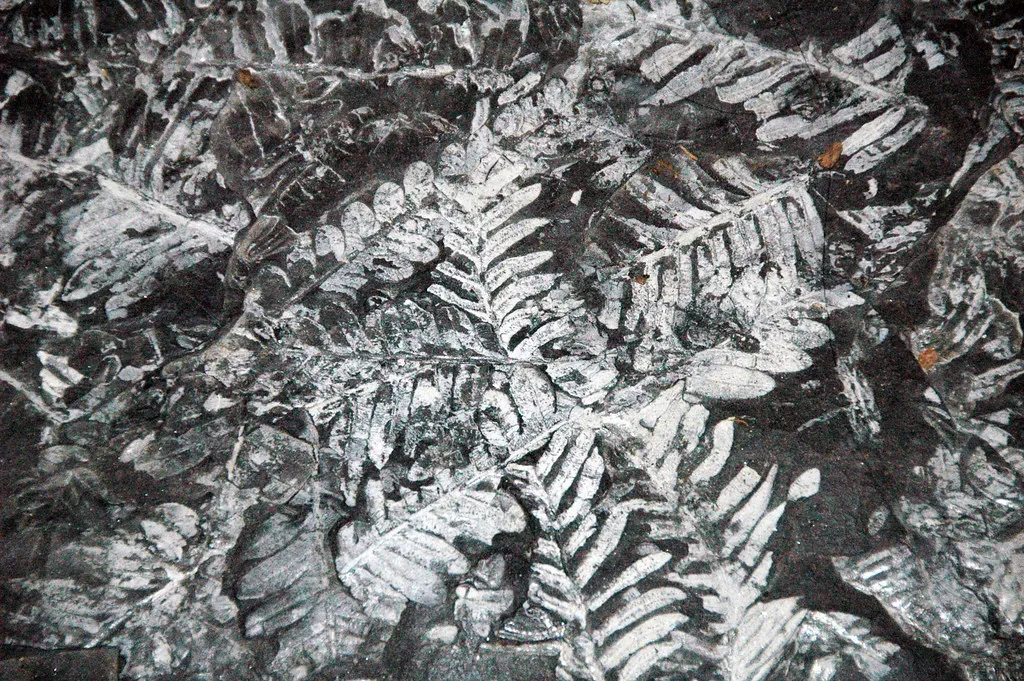 Building a Brave New Ecosystem (Image Credits: Flickr)