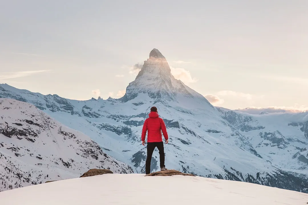 Water, Height, And Shelter: The Three Big Survival Signals Underneath Our Feelings (Image Credits: Unsplash)
