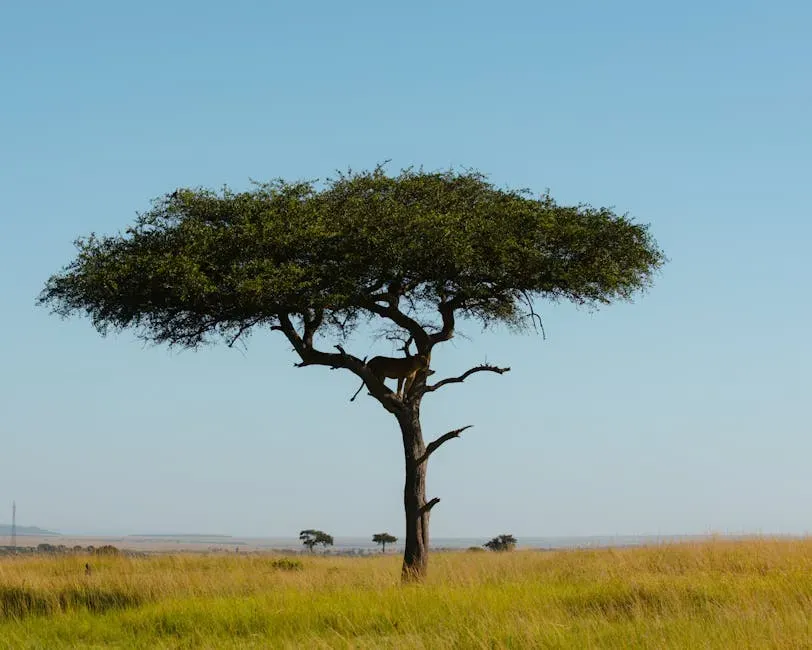 Features Our Brains Quietly Scan For: Water, Trees, and Open Views (Image Credits: Pexels)