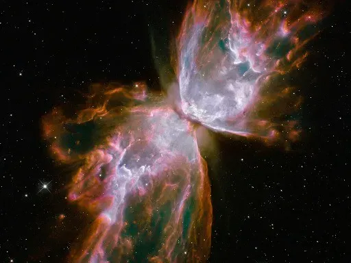 Conclusion: Life as a Cosmic Negotiation, Not a Closed System (ernenn, Flickr, CC BY 2.0)