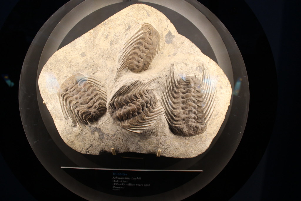 Modern Remnants of an Ancient World (Image Credits: Flickr)