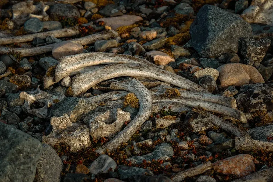 What Zooarchaeology Teaches Us About Who We Are (Image Credits: Pexels)