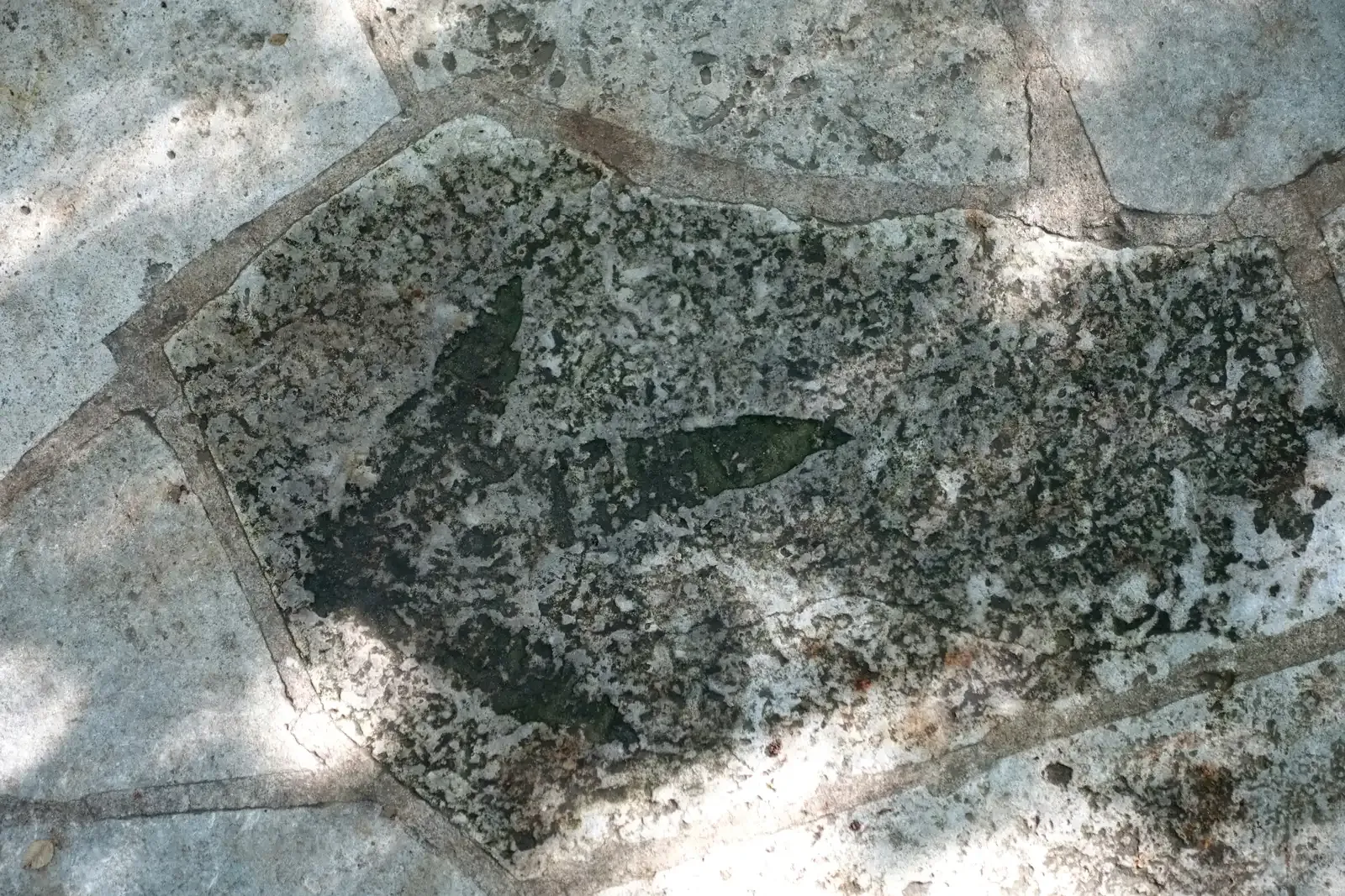 Conclusion: The Ground Beneath You Remembers Everything (Image Credits: Wikimedia)