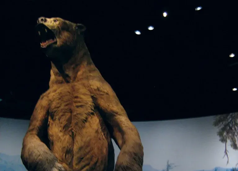 #12 - Its Size Wasn't the Same Across the Continent (Image Credits: Flickr)