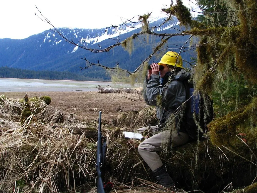 6. You Instinctively Classify and Categorize Everything You Encounter (Image Credits: Flickr)