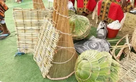 #10 - Woven Fish Traps That Beat Modern Nets on Sustainability (By Blessingmoses, CC BY 4.0)