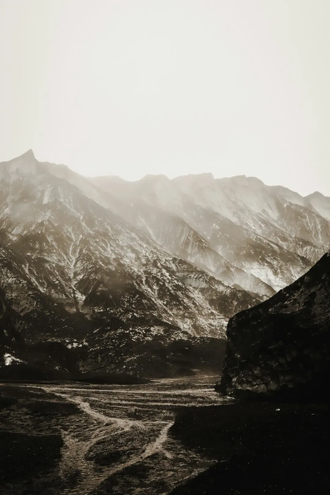 Impact Winter and the Collapse of Habitats (Image Credits: Unsplash)