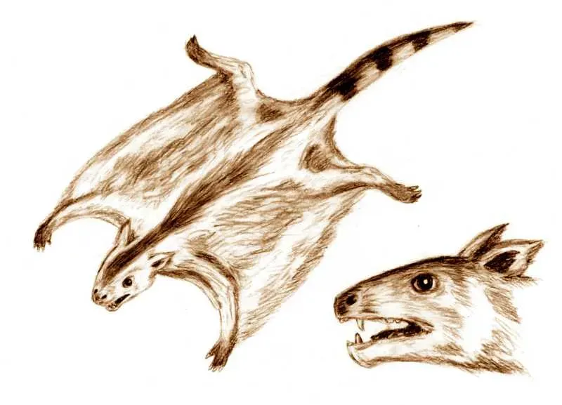 The Competition You Didn't Expect (Image Credits: Wikimedia)