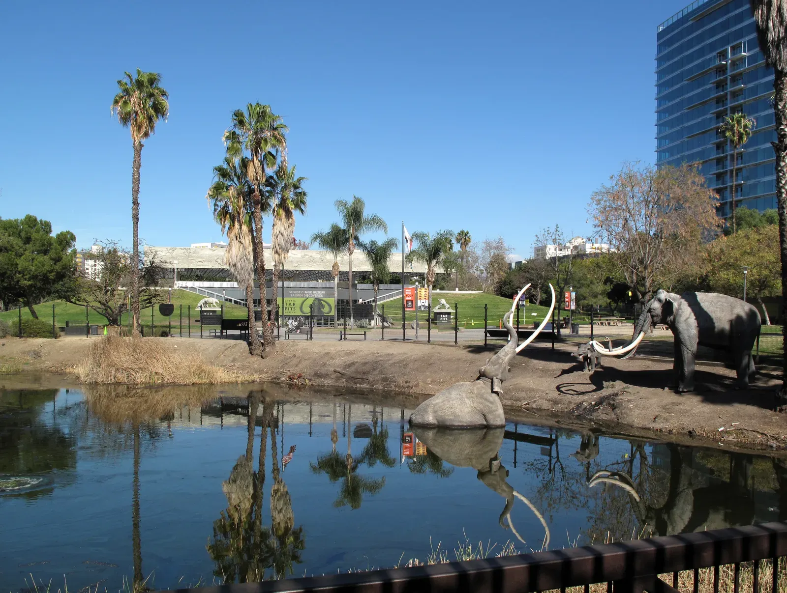La Brea Tar Pits, California: An Ice Age Death Trap in Downtown Los Angeles (Image Credits: Wikimedia)