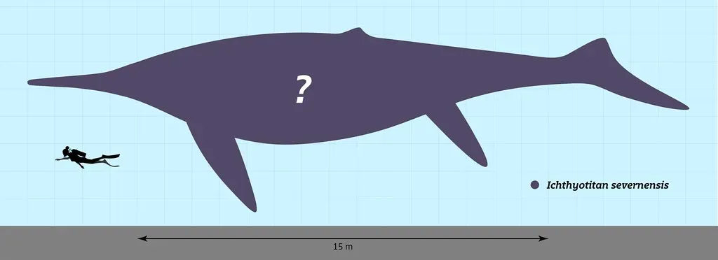 Hupehsuchians and Their Record-Breaking Cousins: The Mystery of the Super Ichthyosaurs (dullhunk, Flickr, CC BY-SA 2.0)