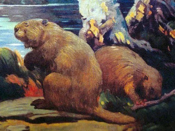 Giant Beaver: A Rodent the Size of a Black Bear (Image Credits: Wikimedia)