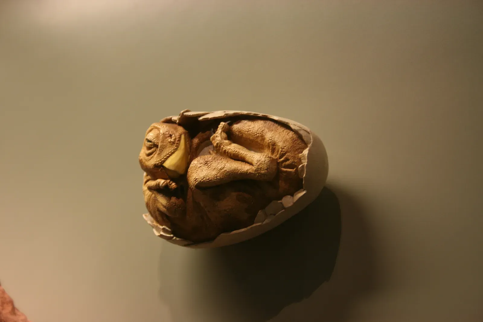 What Embryos and Juvenile Bones Reveal About Dinosaur Development (Image Credits: Wikimedia)