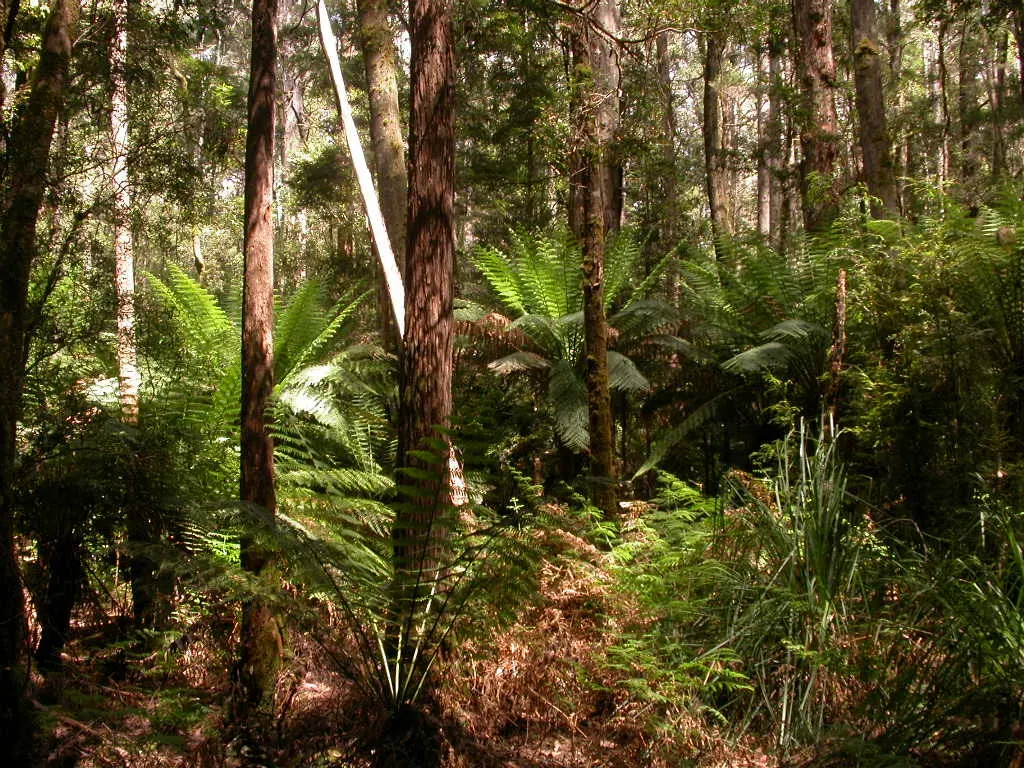 So, Was It Really  (JohnJennings995, Flickr, CC BY 2.0)