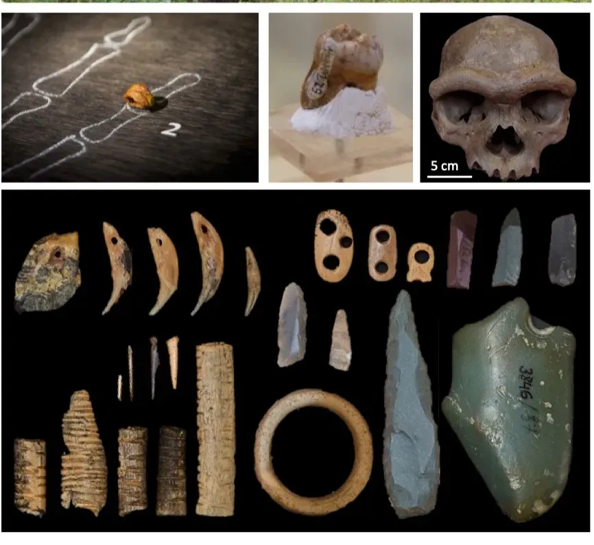 #5 - Only Two Kinds of Humans Ever Coexisted: Us and Neanderthals (Image Credits: Wikimedia)