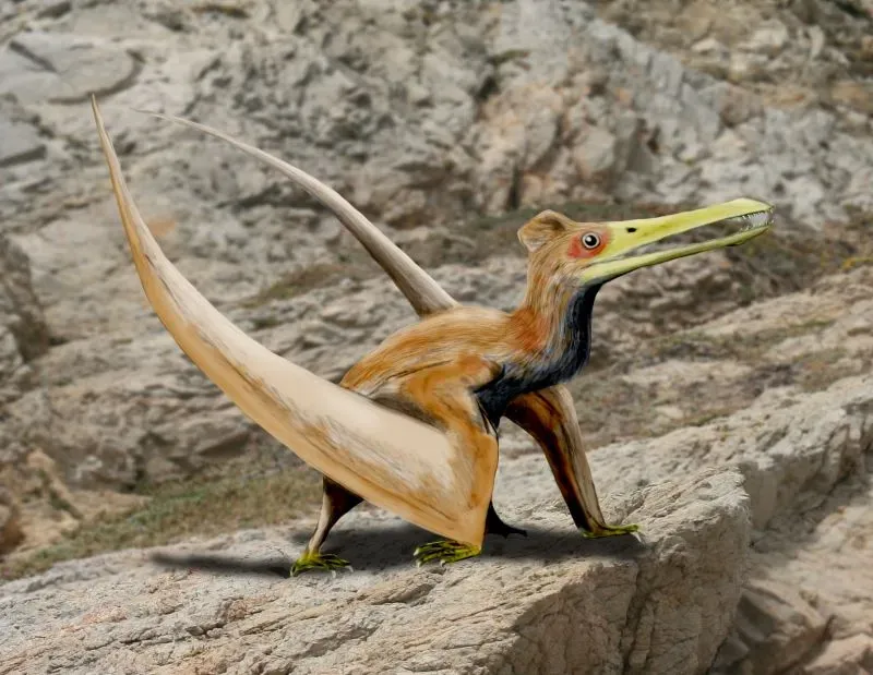 #5 - Whether Pterosaur Parents Actually Stuck Around (By Nobu Tamura (http://spinops.blogspot.com), CC BY 3.0)