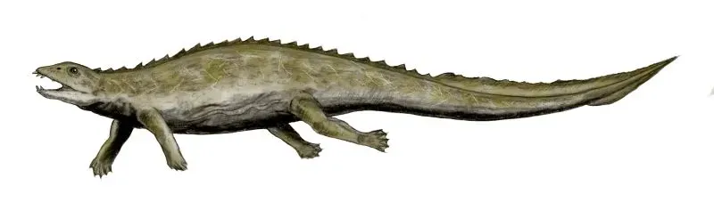 5. Placodus – The Shell Crusher With a Barrel Body (By Nobu Tamura (http://spinops.blogspot.com), CC BY 3.0)