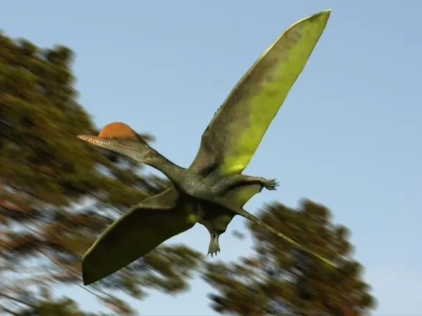 China and Brazil Are Unlocking Pterosaur Family Trees (Image Credits: Wikimedia)