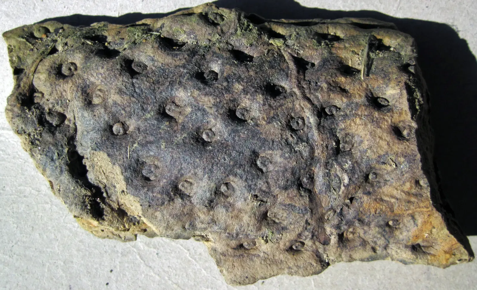 A World Built on Diamond Patterns (Image Credits: Wikimedia)