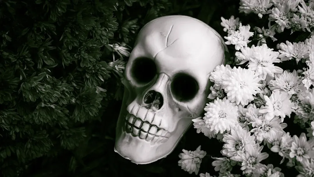 The Problem of Personal Identity Across Death (Image Credits: Unsplash)