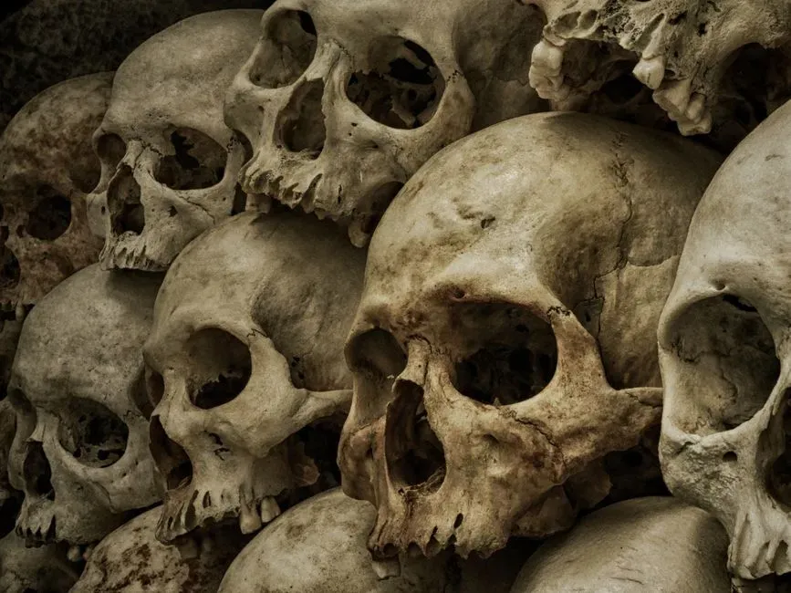 #13 - Ice Age Hunters Carved Drinking Cups From Human Skulls (Image Credits: Pexels)