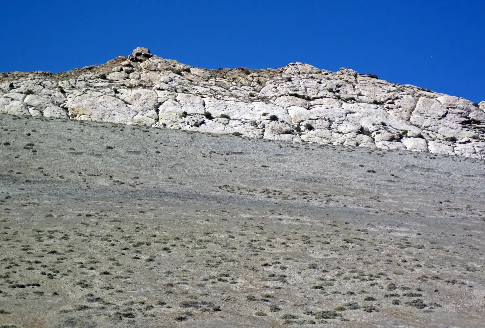 A Snapshot Of A 75‑Million‑Year‑Old River World (Mancos Shale over Frontier Sandstone (Upper Cretaceous; western Dinosaur National Monument, Utah, USA) 8, CC BY 2.0)
