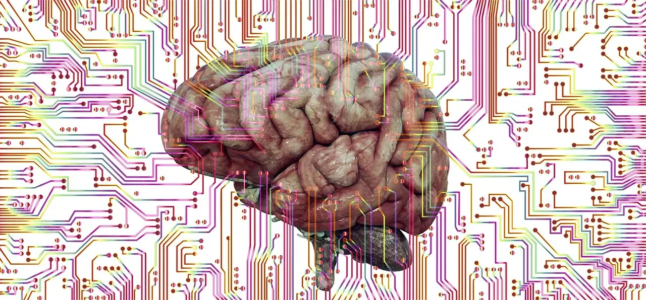 Your Brain Reconstructs Rather Than Replays (Image Credits: Pixabay)