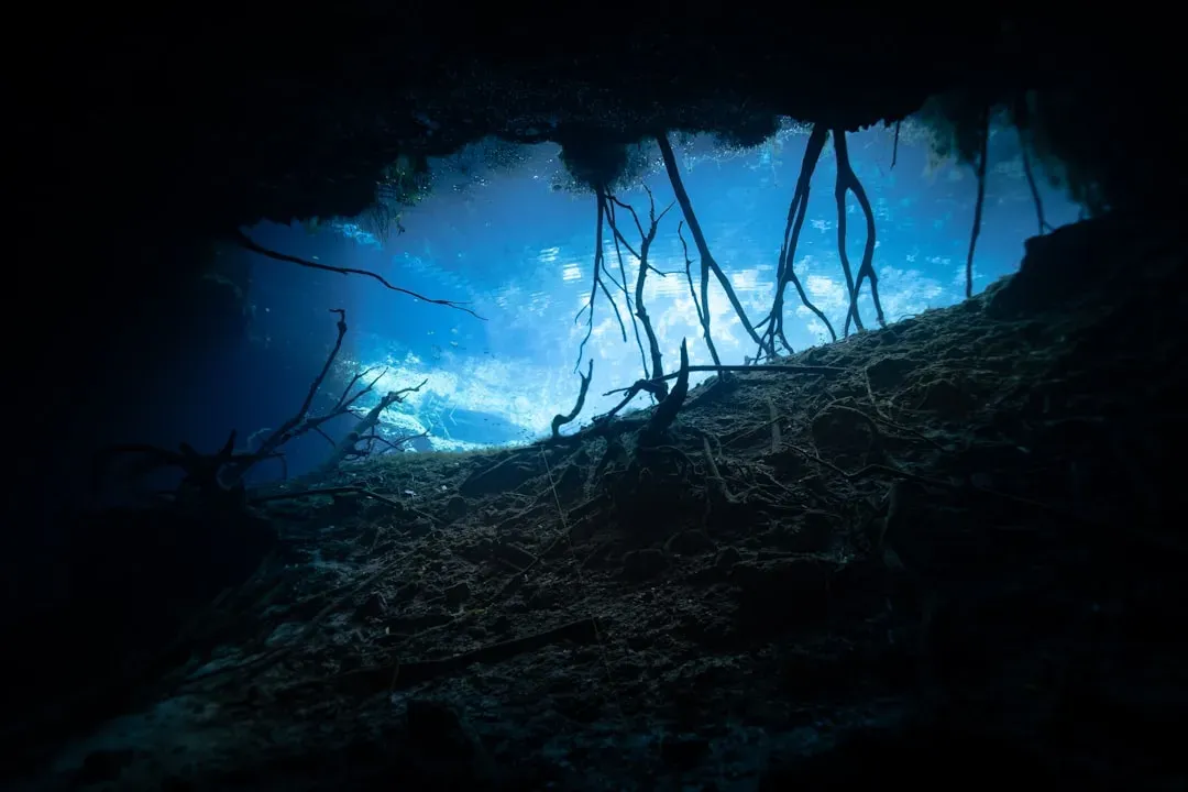The Subterranean Deep Biosphere That Dwarfs Surface Life (Image Credits: Unsplash)
