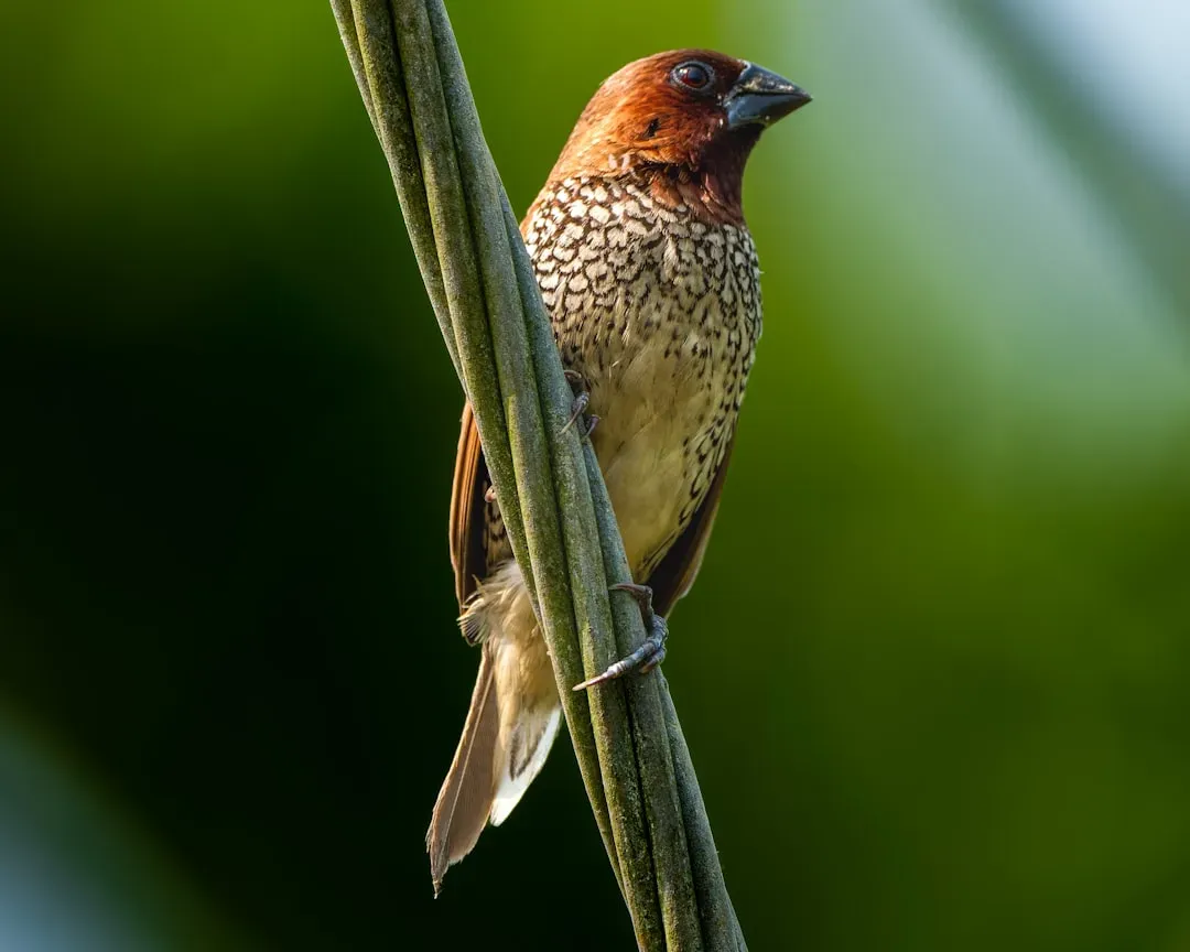 Birds Are Dinosaurs: The Living Proof Right Outside Your Window (Image Credits: Unsplash)