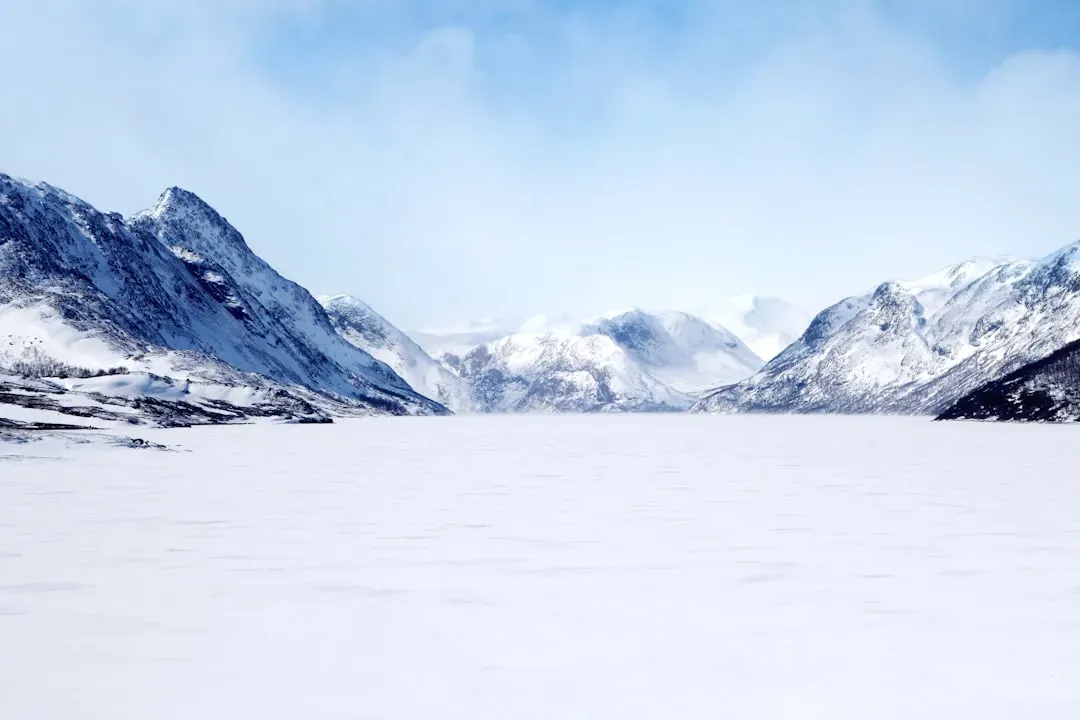 #2 - Surviving Massive Climate Swings With No Forecasts (Image Credits: Unsplash)