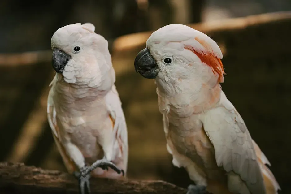 Birds, Reptiles, and the Non-Mammal Route to Awareness (Image Credits: Pexels)