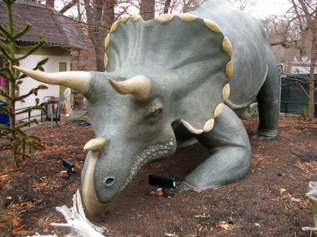 Horns That Tell Stories Of Combat, Identity, And Change (edenpictures, Flickr, CC BY 2.0)
