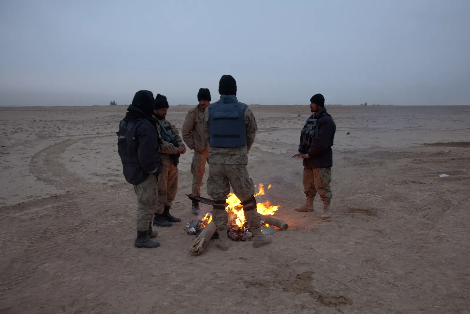 Warmth, Touch, and the Physiology of Safety (By Spc. Jason Nolte, Public domain)