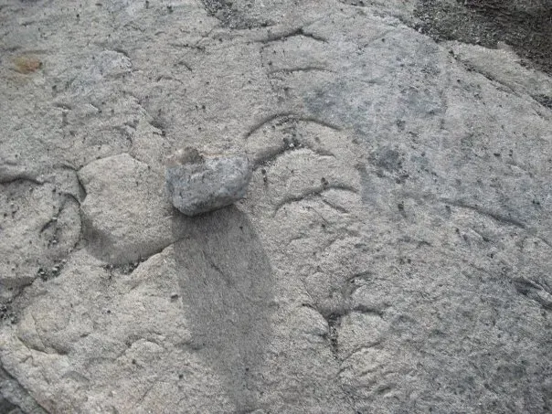 #4 Chatter Marks and Crescentic Gouges: The Stutter Step of Moving Ice (By Rart, CC BY-SA 3.0)
