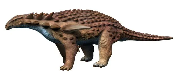 #1 - Its Original Three-Dimensional Body Shape (By Nobu Tamura email:nobu.tamura@yahoo.com  http://spinops.blogspot.com/, CC BY-SA 4.0)