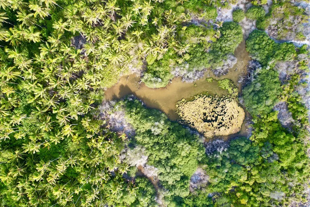 The Moment the Jungle Gave Up Its Secret (Image Credits: Unsplash)