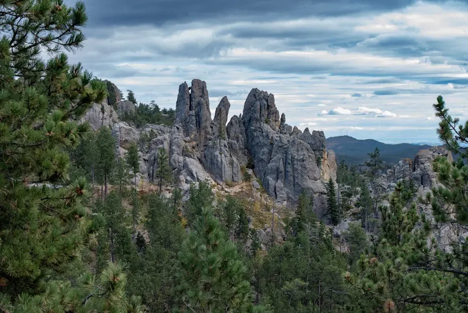 The Black Hills, South Dakota (Image Credits: Pexels)