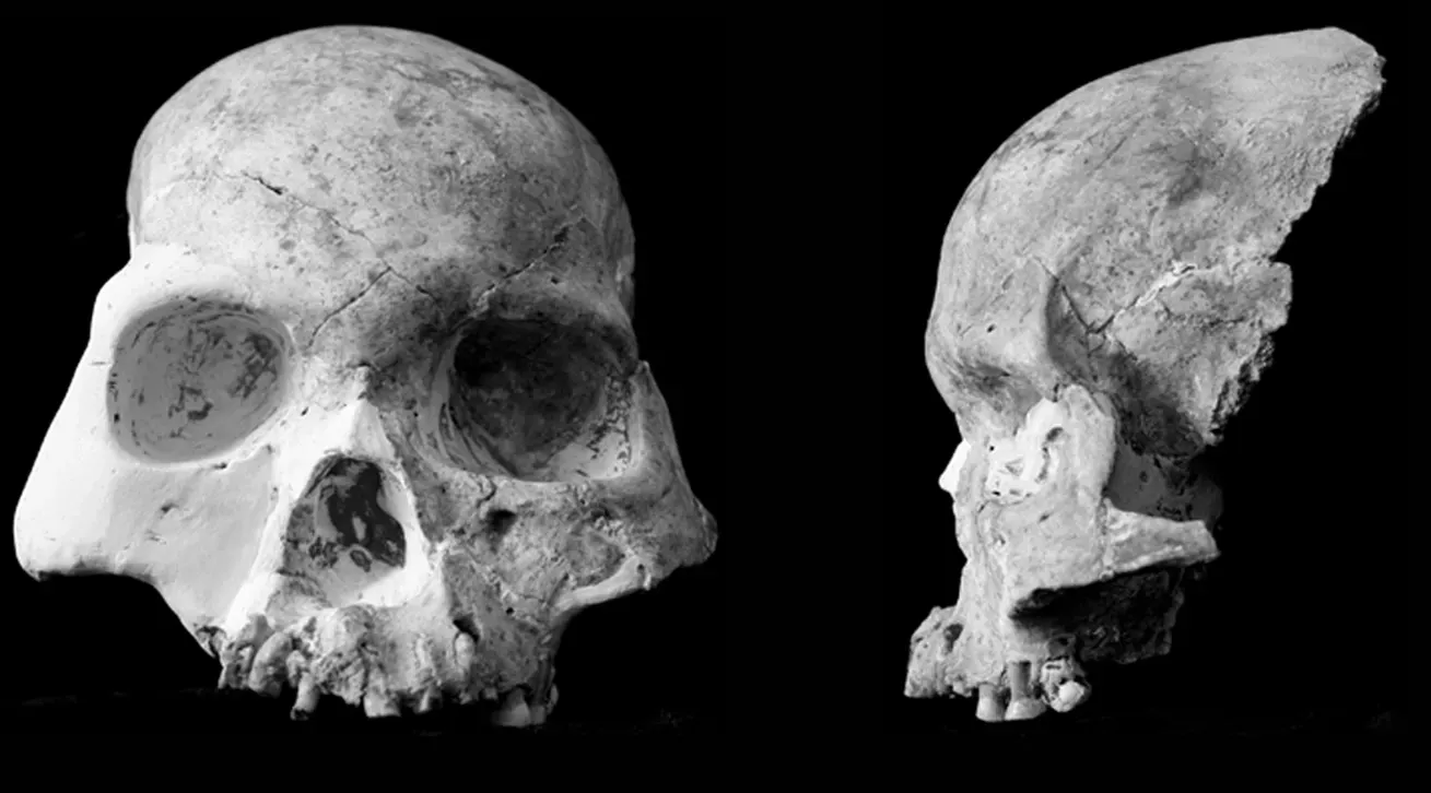 #4 - The Cave People Even Their Own Discoverers Couldn't Label (By Curnoe, D.; Xueping, J.; Herries, A. I. R.; Kanning, B.; Taçon, P. S. C.; Zhende, B.; Fink, D.; Yunsheng, Z., CC BY 2.5)