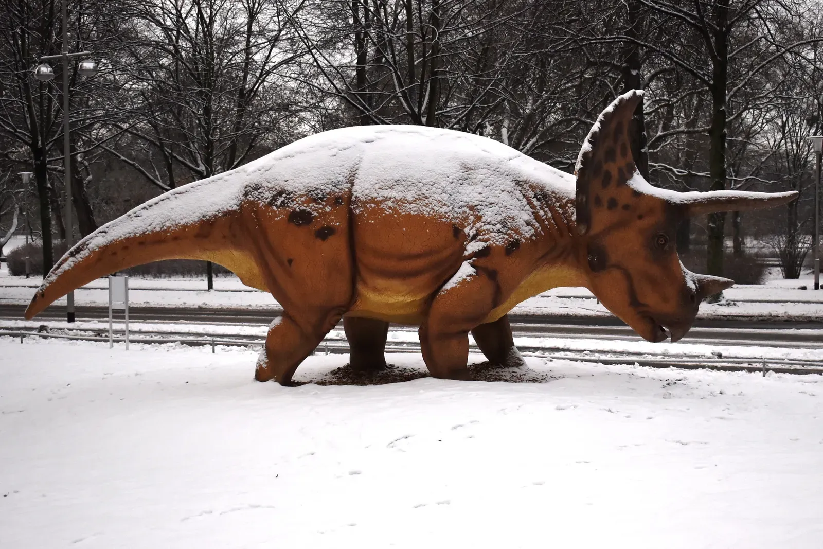 A Massive Herbivore Built More for Calm Than Combat (By Bärbel Miemietz, CC BY-SA 4.0)