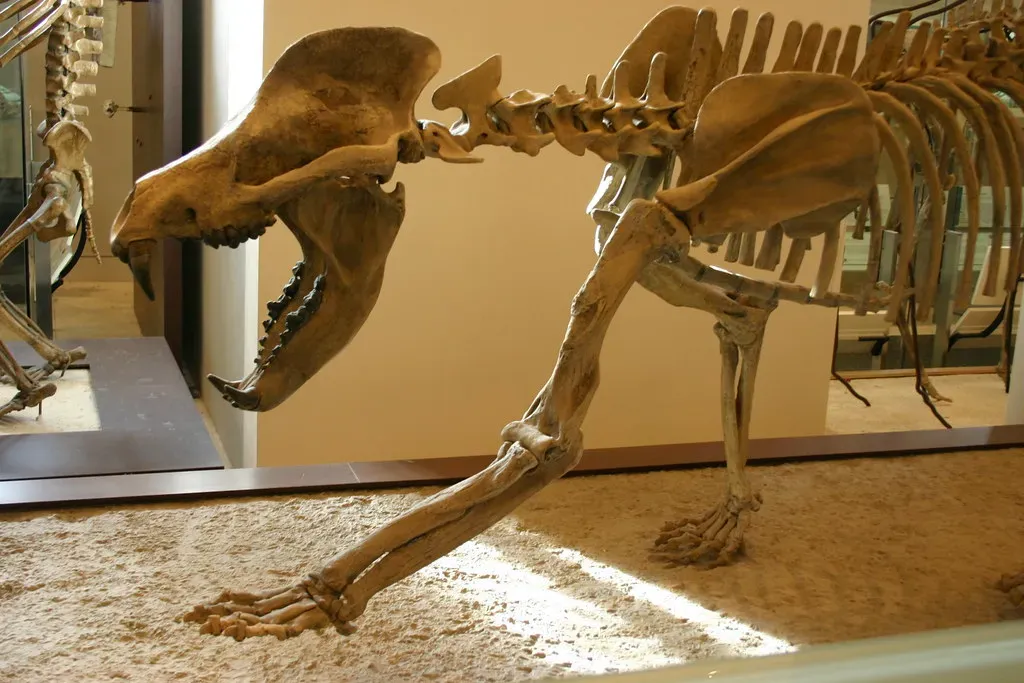 #13 - The Middle Miocene Disruption Nobody Talks About (Ryan Somma, Flickr, CC BY-SA 2.0)