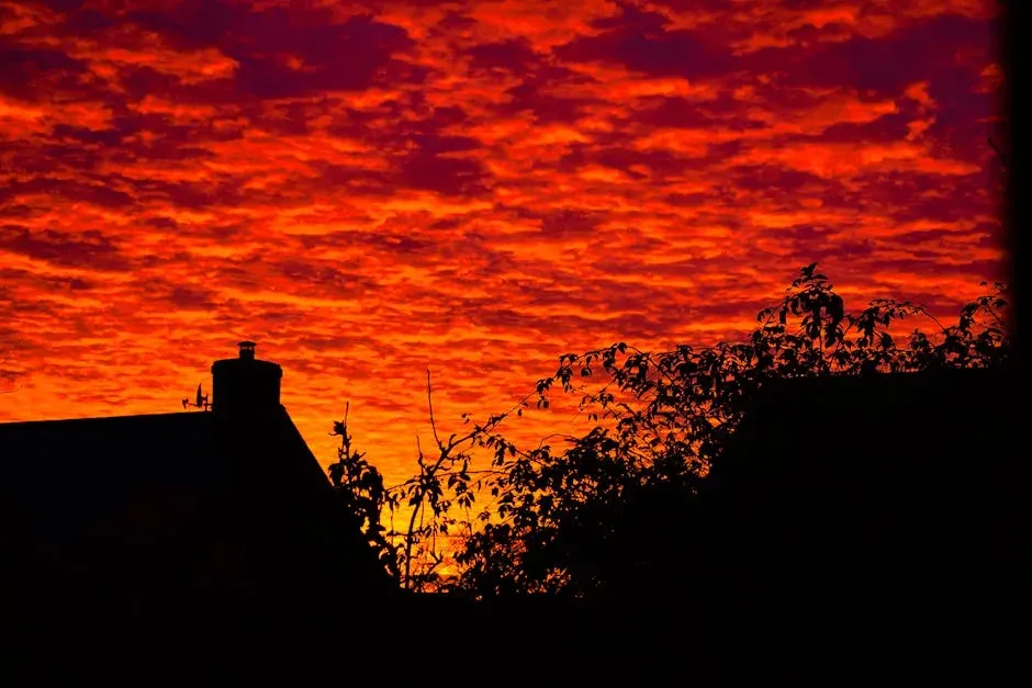 Scorpio – The Intense, Deep Crimson Dusk Just After Sunset (Image Credits: Pexels)