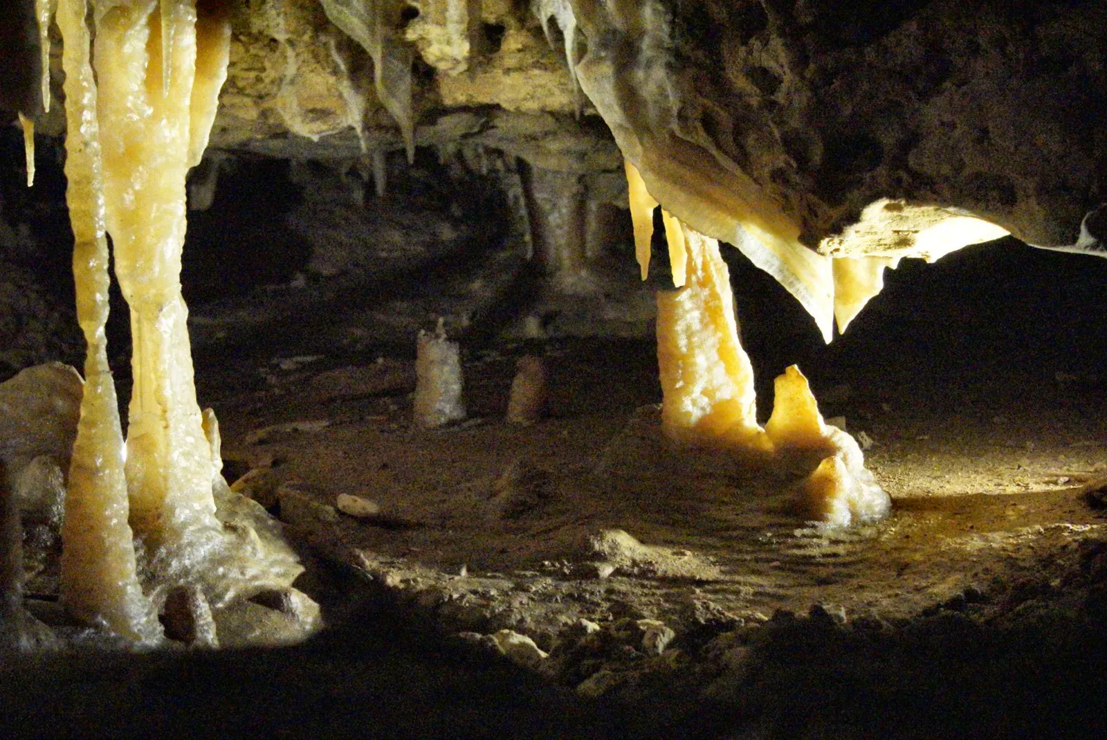 #12 - Naracoorte Caves: Australia's Megafauna Didn't Vanish the Way We Thought (By KTWPhotography, CC BY-SA 4.0)