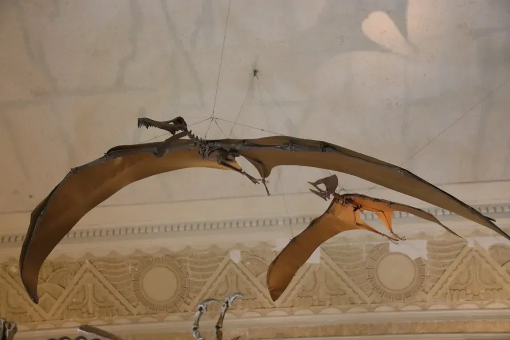 Conclusion (Image Credits: Flickr)