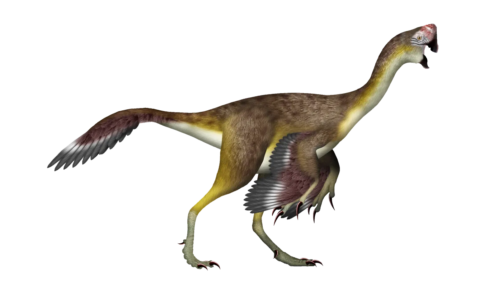 7. Citipati: The “Egg Thief” That Turned Out to Be a Super Parent (By TotalDino, CC BY-SA 4.0)