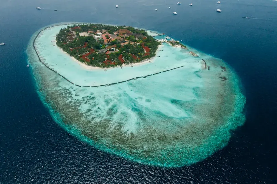 Leo – Glamorous Party Paradise Island (Image Credits: Pexels)