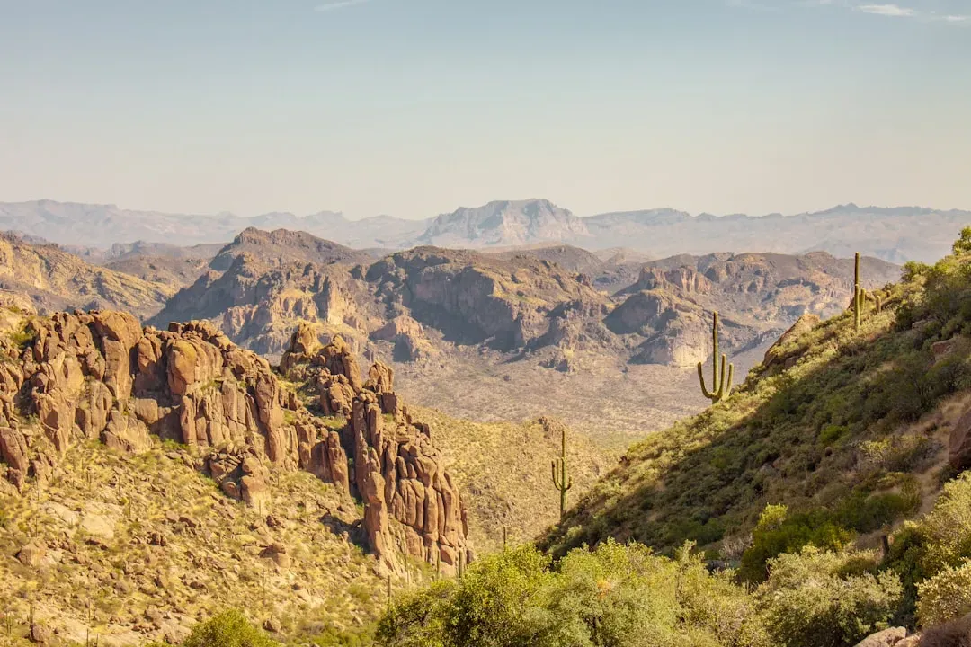2. They Treated the Landscape as a Living Map of Microclimates (Image Credits: Unsplash)