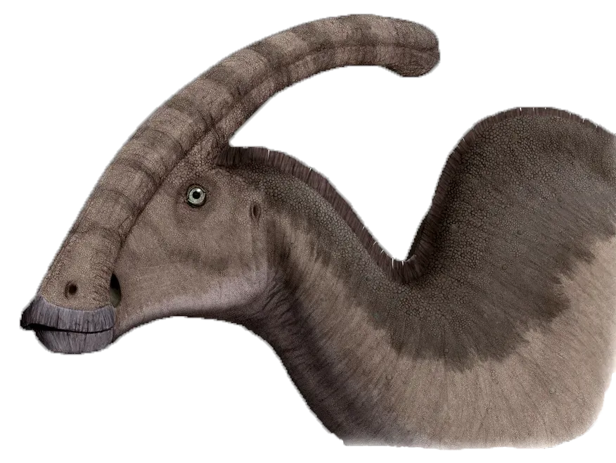 Libra: The Graceful Parasaurolophus (Image Credits: Wikimedia)