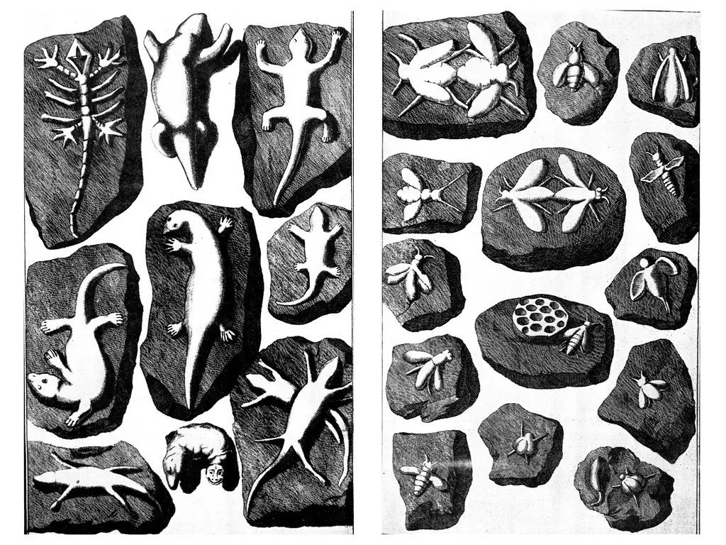 The Lying Stones of Würzburg (Image Credits: Flickr)