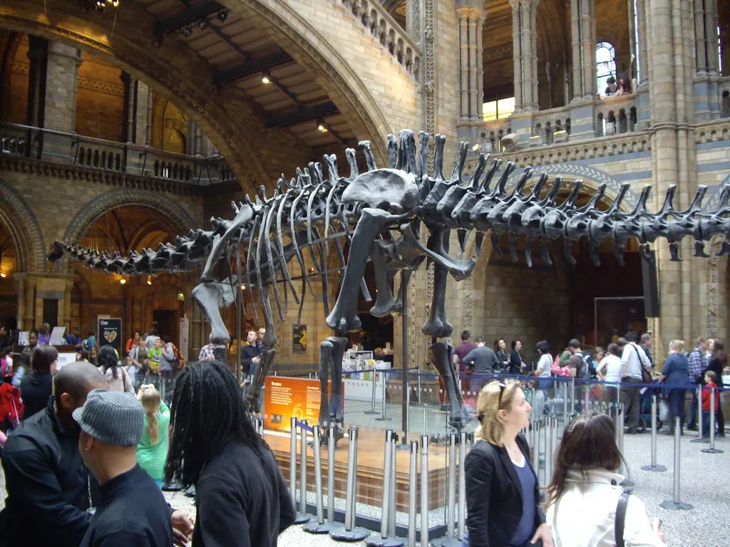 8. Diplodocus carnegii at the Carnegie Museum of Natural History, Pittsburgh (virtusincertus, Flickr, CC BY 2.0)