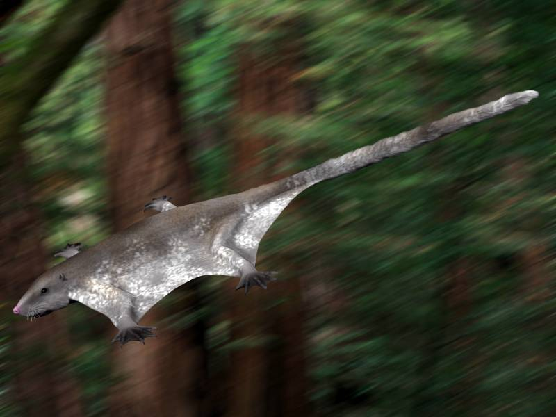 The Great Expansion Begins (Image Credits: Wikimedia)