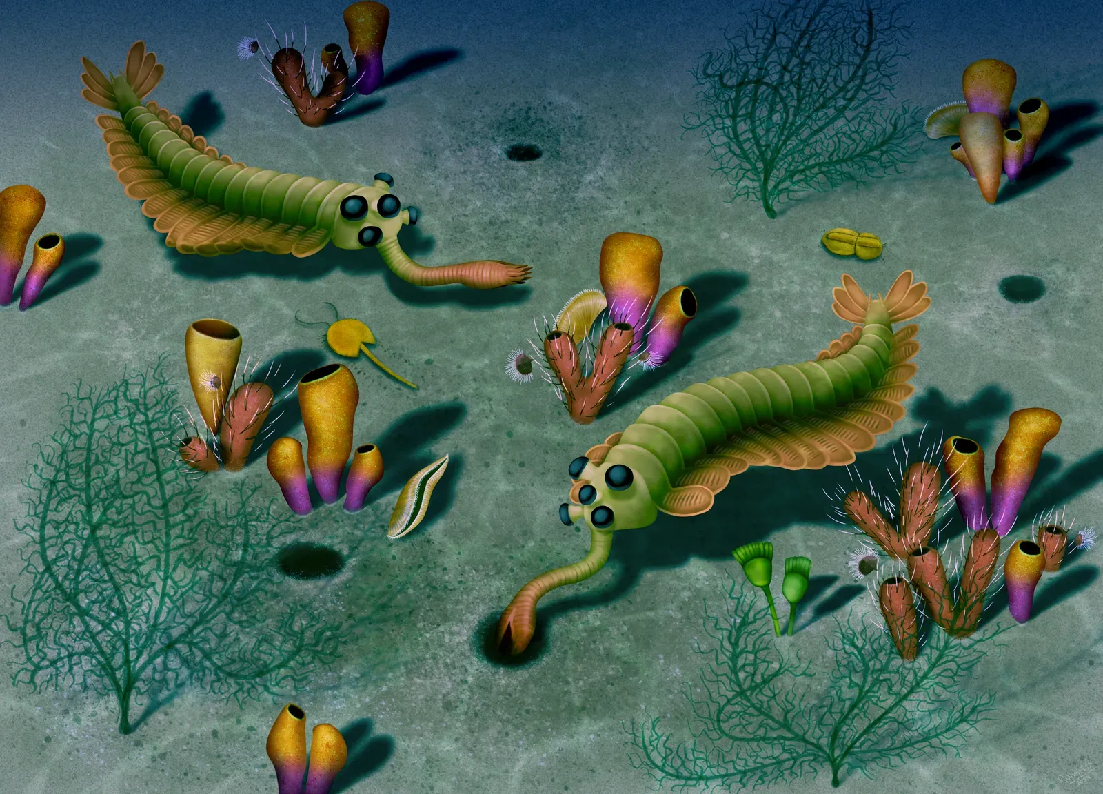 Opabinia: The Five-Eyed Ocean Nightmare with a Vacuum for a Mouth (Image Credits: Wikimedia)